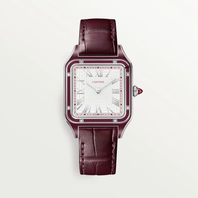 Cartier Santos Large Model Dumont Platinum Limited Edition WGSA0053